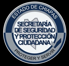 Unidad de Policía Cibernética del Estado de Chiapas.